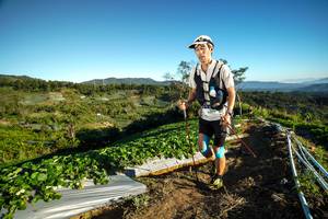 BIB: 
                            <button type="button" onclick="openModal(19111574)" class="btn btn-primary btn-sm float-right btn-popup" data-toggle="modal" data-target=".modal-high-quality">
                        <i class="fas fa-shopping-cart"></i> Add to Cart
                    </button>
                                            <button type="button" onclick="isThisMe(19111574, true)" class="btn btn-success btn-sm float-right btn-popup btn-isme hidden" data-toggle="tooltip" data-placement="bottom" title="นี่คือรูปของคุณใช่ไหม คลิกที่นี่เพื่อเอาเข้าอัลบั้ม">
                        <i class="fas fa-plus"></i> Add to album
                    </button>
                    <button type="button" onclick="isThisMe(19111574, false)" class="btn btn-warning btn-sm float-right btn-popup btn-isnotme hidden">
                        <i class="fas fa-ban"></i> Remove from album
                    </button>